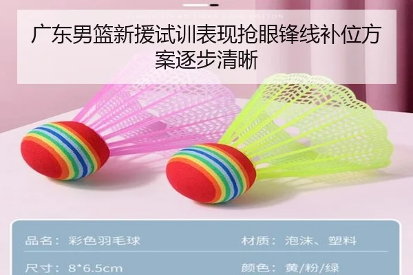 广东男篮新援试训表现抢眼锋线补位方案逐步清晰