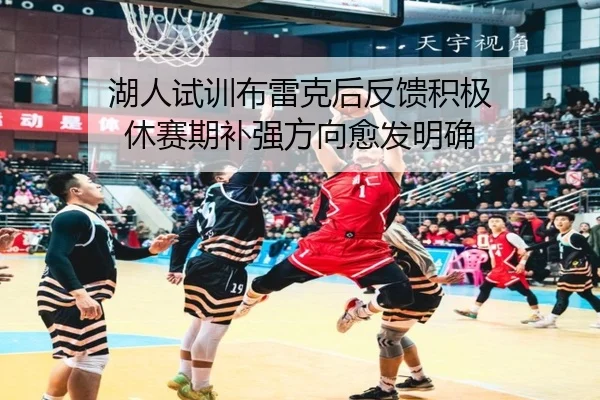 湖人试训布雷克后反馈积极 休赛期补强方向愈发明确