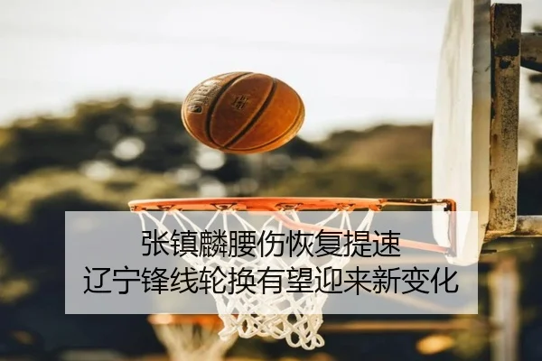张镇麟腰伤恢复提速 辽宁锋线轮换有望迎来新变化